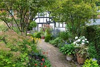 A brick path cuts diagonally through the garden, passing by two multi-stemmed Amelanchier lamarchii underplanted with perennials and shrubs, arriving at a cottage