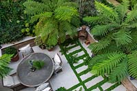 Bird's-eye view of enclosed courtyard with outdoor dining. Green and white colour scheme with Dicksonia antarctica - Tree Fern, between paving, ferns and Soleirolia soleirolii syn. Helxine soleirolii - Mind-your-own-business