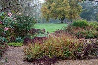 A gravel path weaves through Autumnal borders with a large clump of red flowering Persicaria  ampexicaulis in the foreground and a view of a lawn with mature trees beyond