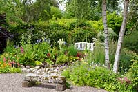 View over stone bench to beds with Geraniums, Meconopsis, Aquilegia, Candelabra Primula and Betula - Birch - tree trunks