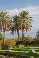 Garden with Phoenix dactylifera - Date palm trees overlooking the Sea of Galilee at The Church of the Beatitudes on the  Mount of Beatitudes, Sea of Galilee region, Israel. 