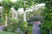 Potager with clipped box-edged beds of herbs Rosa Wisteria Vitis and Malus