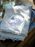 Paper weight made with Bluebell flowers in resin