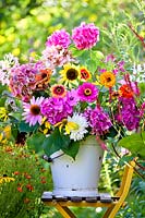 Bucket of summer flowers placed on a chair - sunflowers, zinnias, dahlias, phlox, hydrangea, rose mallow and cleome.