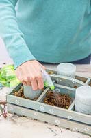 Woman spraying the moss to add dampness. 