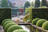 The Upper Rill Garden at Wollerton Old Hall Garden, Shropshire - Planting includes: clipped yew hedge 'Taxus baccata' and box balls 'Buxus'