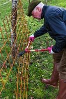 Man cutting wire mesh with a structural steel mesh cutter - Step by step How to make a rose arbour from wire mesh steel rebar. 