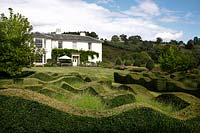 Topiary waves interspersed with grasses at Grendon Court, Herefordshire, UK.