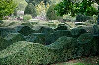 Topiary waves interspersed with grasses at Grendon Court, Herefordshire, September