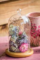 Simple dried flower display in small cloche - everlasting flowers, Hydrangeas and Sea lavender