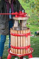 Turning the apple press to extract the juice from the mashed apples. 