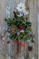 A foraged Christmas tree using Papaver - Poppy seed heads, Hedera - Ivy seed heads and flowers, Ilex - Holly leaves and berries, Allium seed head, Fir cones, Cyclamen flowers and leaves, Lunaria - honesty seed heads, cloves, Star anise, cinnamon sticks tied with raffia and a Cosmos 'Purity' flower as the star. On an old weathered door.