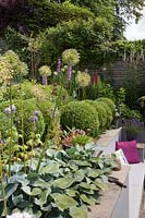 Clipped box balls and Hosta 'Halcyon' with Allium seedheads and seating in wall beyond, Cheshire