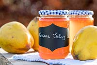 Quince Jelly in jars on table top, with quince fruits, blue gingham lids and table cloth