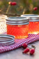 Rosehip Jelly in glass jars on table top, with gingham table cloth and rose hips. 