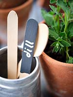 Plant label made from wooden cutlery painted with blackboard paint and chalk paint to write the name in a vintage terracotta pot with Mint