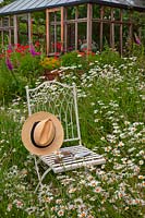 Metal seat and hat with Leucanthemum - Ox-eye daisies growing in long grass infront of garden room in Norfolk garden 