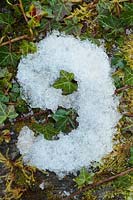 Gardening Alphabet Letter g spelt out with frost and ice 