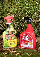 Pesticides provado and Bug Clear Ultra to combat Cydalima perspecalis, box tree moth