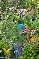 Mixed summer borders 