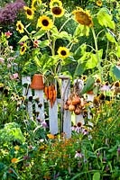 Harvest on display hanging on fence - carrots and onions with summer borders.