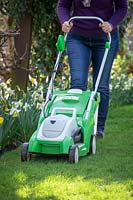 First mowing of the lawn in early spring using a rechargeable battery mower