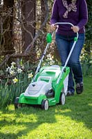 First mowing of the lawn in early spring using a rechargeable battery mower. 