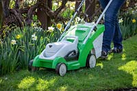 First mowing of the lawn in early spring using a rechargeable battery mower. 