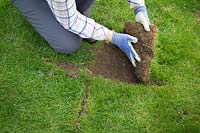 Repairing a dip in a lawn, cutting an cross shape with a spade and lifting turf