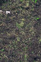 Use of a rotorvator can encourage grass weed problems by cutting up and replanting troublesome weeds. 