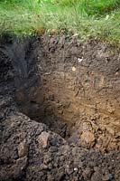 Checking soil profile by digging an inspection hole. Step 5 showing final pit revealing layers of top soil, subsoil and sub sub-soil