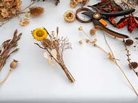 Prepared dried flowers and seed heads for Christmas, autumn, winter arrangements.