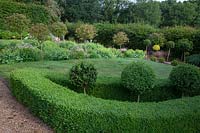 Buxus sempervirens - Box - hedge and half standard balls in topiary garden.