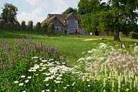 A view of the house from The cutting garden with Agastache 'Liquorice Blue', 'Liquorice White', Ammi majus and Leucanthmum 'Snow Lady'.