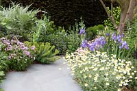 A Sustainable garden based around herbaceous planting - stone garden path surrounded by mixed flower borders - Sicillian chamomile -Iris 'Jane Phillips' - Centaurea montana, Cynara cardunculus, Euphorbia, Fagus sylvatica f. purpurea - Copper Beech hedge. The Morgan Stanley Garden. RHS Chelsea Flower Show 2019 - Designer: Chris Beardshaw - Sponsor: Morgan Stanley 