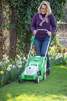 First mowing of the lawn in early spring using a rechargeable battery mower