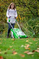 Raising the height of lawn mower blades before the last cut of the season before winter. Using the mower to collect fallen leaves