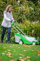 Raising the height of lawn mower blades before the last cut of the season before winter - Using the mower to collect fallen leaves