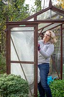 Pinning up plastic bubblewrap to insulate a greenhouse ready for winter