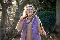 Pruning a crab apple tree with long handled loppers.