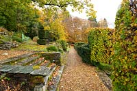 A gravel path along moss covered stone terraces surrounded by Taxus baccata and Fagus sylvatica in autumn at the Arts and Crafts style garden at High Moss, Portinscale, Cumbria