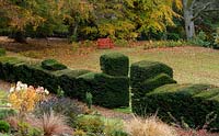 Elaborately shaped Yew topiary Taxus baccata and autumn foliage around a Chinese red bench in the garden at High Moss, Portinscale, Cumbria, UK