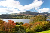 A view over autumn foliage to Coniston Water and the Old Man of Coniston from John Ruskin's Brantwood Gardens, Coniston, Cumbria, UK