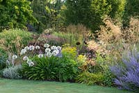 A border of Stipa gigantea, Agapanthus 'Kew White', blue Russian sage, purple angelica, tobacco plants and euphorbia.