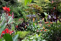 View of autumnal garden border with tender exotic plants