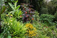 Subtropical garden situated in a steep-sided valley, with its own sheltered microclimate which permits tender exotic plants to flourish. 