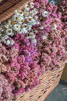 Basket of coral statice flowers
