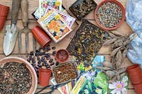 Bought and saved flower seeds with dahlia tubers, beans and garden tools