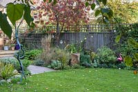 Low maintenance  city garden - Stone bird bath with Eurybia and ornamental cherry tree