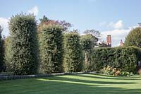 Looking across shadows on grass lawn to avenue of cylinder Holm oaks. Garden designed by Gertrude Jekyll and Edwin Lutyens.
